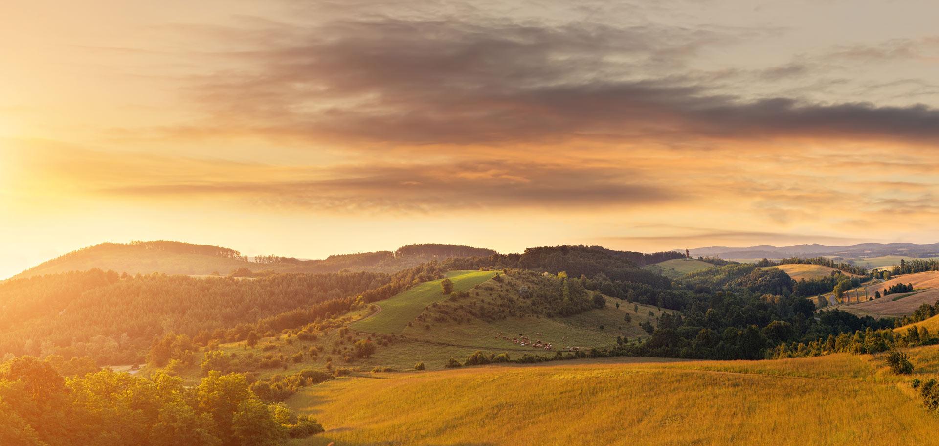 Beautiful Hilly Field